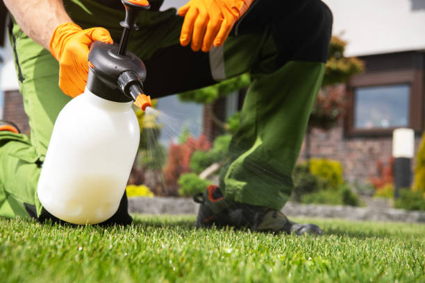 Best Best Pest Control Companies  in Slater, IA