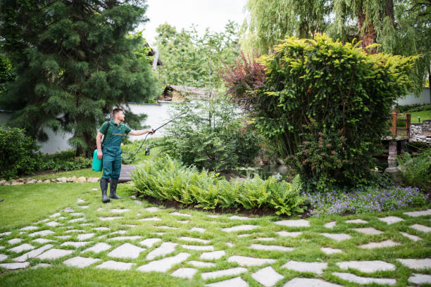 Best Wasp Removal Services  in Slater, IA
