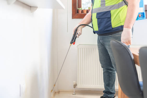 Flea Control Services in Slater, IA