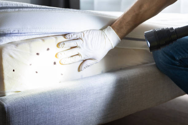 Best Residential Pest Control  in Slater, IA